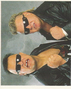 WWF Merlin Stickers 1991 Nasty Boys No.119