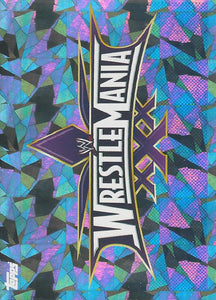 WWE Topps Road to Wrestlemania Stickers 2021 Logo No.119