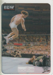 WWE Edibas Lamincards 2006 Rene Dupree No.120