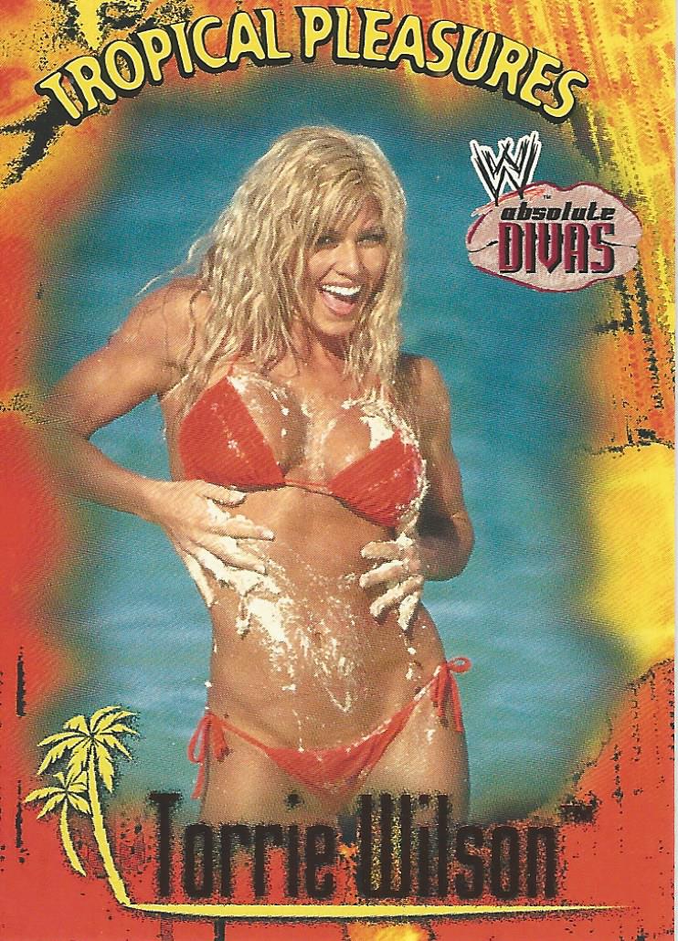 WWE Fleer Absolute Divas Trading Card 2002 TP 7 of 10 Torrie Wilson