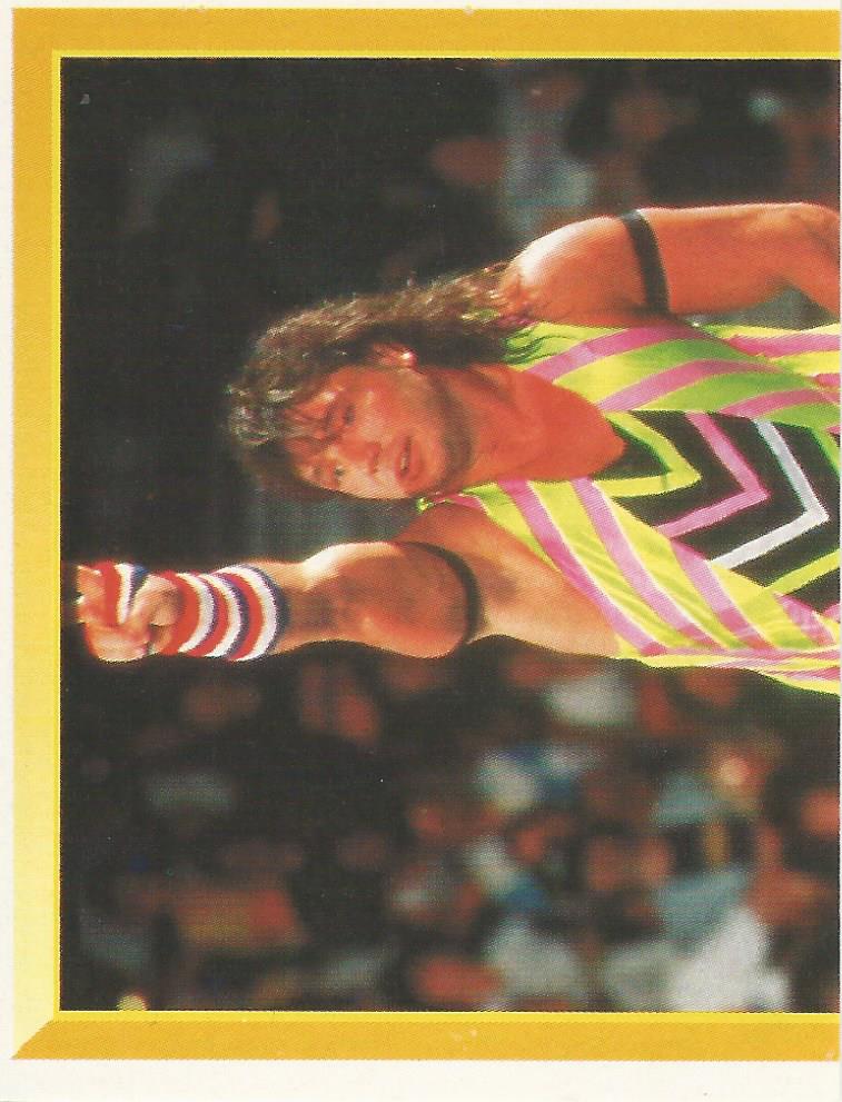 WWF Merlin Sticker Collection 1994 Marty Jannetty No.122