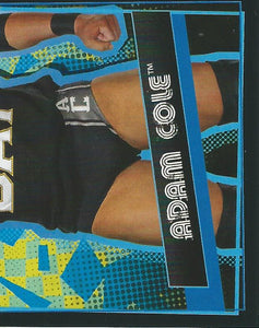 WWE Topps Road to Wrestlemania Stickers 2021 Adam Cole No.123