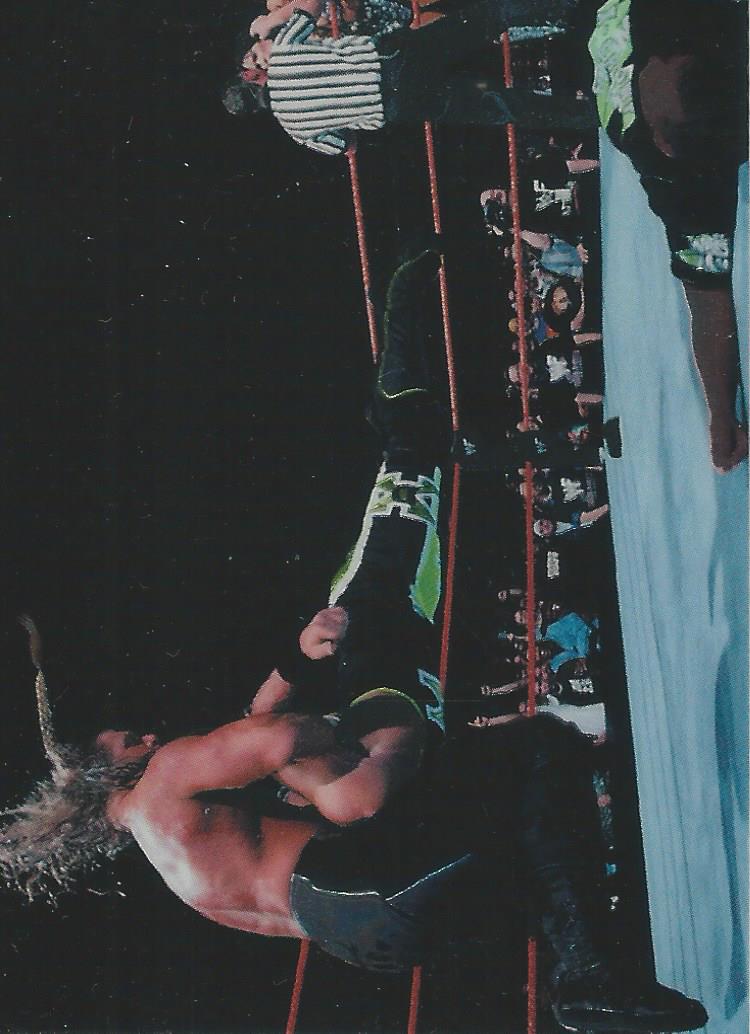 WWF Smackdown Chrome 1999 Trading Cards Triple H No.75