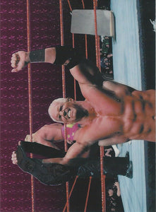WWF Smackdown Chrome 1999 Trading Cards Hardcore Holly No.74