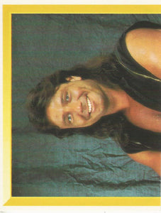 WWF Merlin Sticker Collection 1994 Marty Jannetty No.125