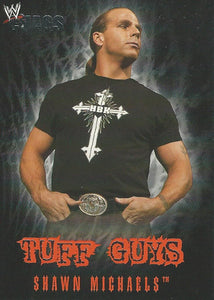 WWE Fleer Chaos Trading Card 2004 Shawn Michaels TE 6 of 12