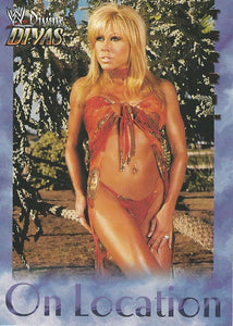 WWE Fleer Divine Divas Trading Card 2003 Terri Runnels OL 11 of 16