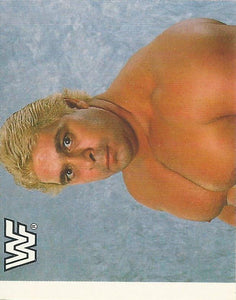 WWF Merlin Sticker Collection 1990 Dino Bravo No.12