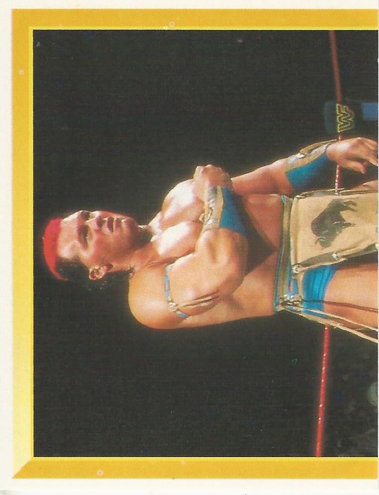 WWF Merlin Sticker Collection 1994 Tatanka No.130