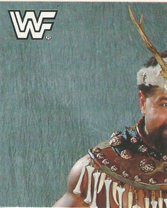 WWF Merlin Sticker Collection 1990 Barbarian No.130