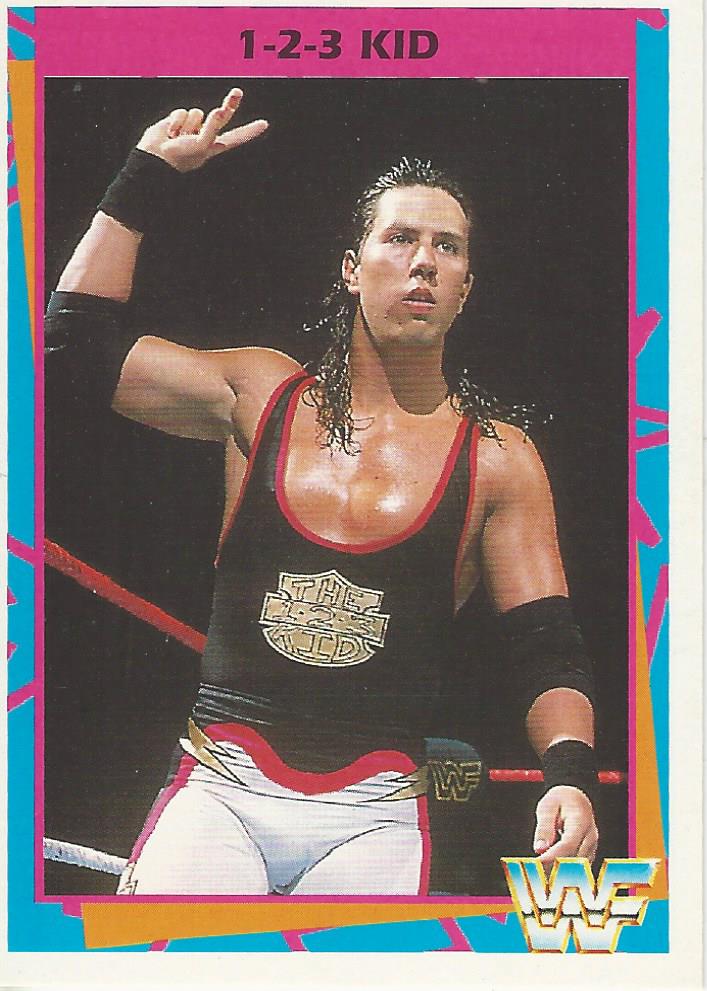 WWF Merlin Trading Card 1995 1-2-3 Kid No.132