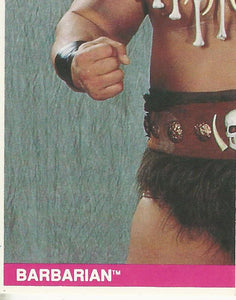 WWF Merlin Sticker Collection 1990 Barbarian No.132