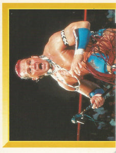 WWF Merlin Sticker Collection 1994 Tatanka No.133