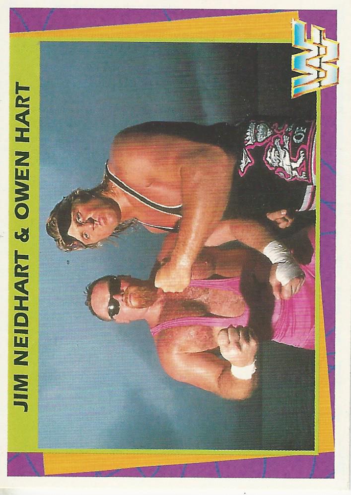 WWF Merlin Trading Card 1995 Jim Neidhart and Owen Hart No.133