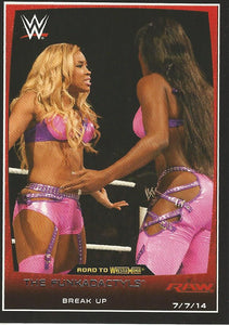 WWE Topps Road to Wrestlemania 2015 Trading Cards Naomi and Cameron No.33