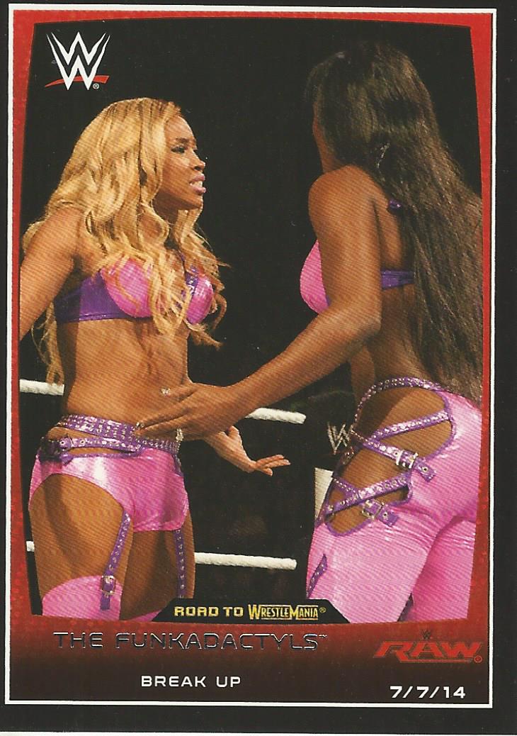 WWE Topps Road to Wrestlemania 2015 Trading Cards Naomi and Cameron No.33