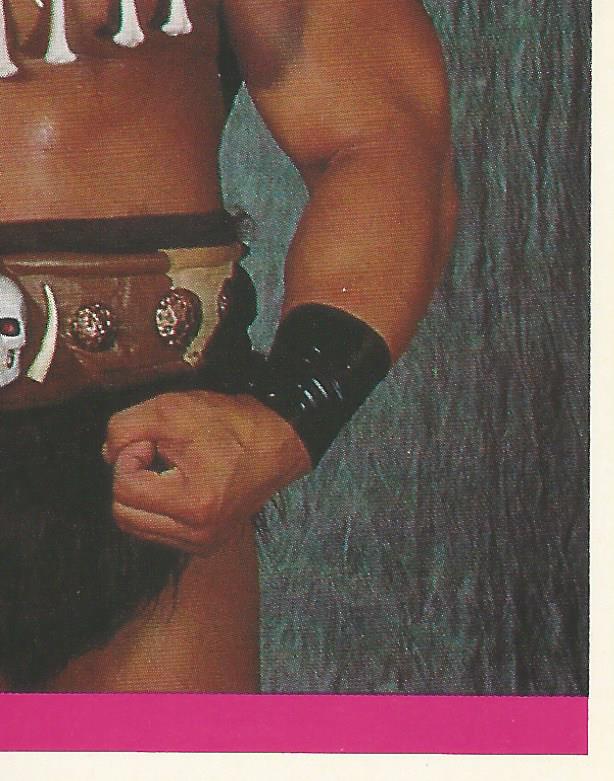 WWF Merlin Sticker Collection 1990 Barbarian No.133