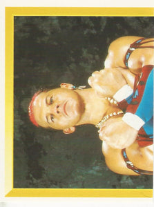 WWF Merlin Sticker Collection 1994 Tatanka No.136