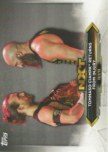 WWE Topps NXT 2020 Trading Cards Adam Cole and Tommaso Ciampa No.36