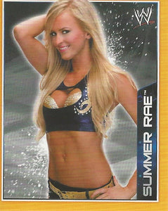 WWE Topps A-Z Sticker Collection 2014 Summer Rae No.137