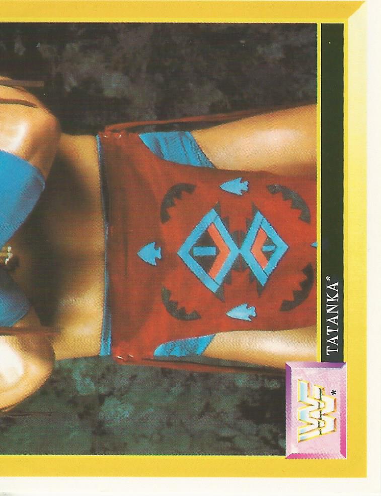 WWF Merlin Sticker Collection 1994 Tatanka No.137