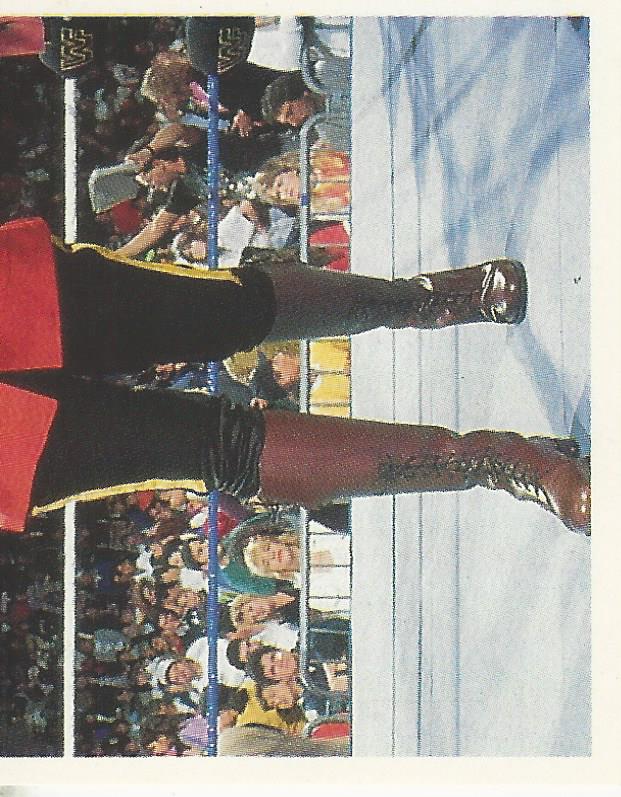 WWF Merlin Stickers 1991 The Mountie No.137