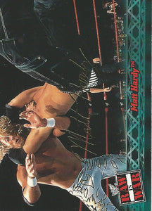 WWF Fleer Raw 2001 Trading Cards Matt Hardy No.13