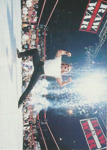 WWF Superstarz 1998 Trading Card Shawn Michaels No.13
