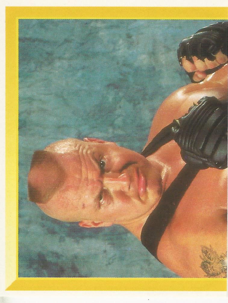 WWF Merlin Sticker Collection 1994 Ludvig Borga No.140