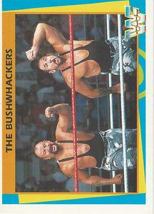 WWF Merlin Trading Card 1995 Bushwhackers No.141