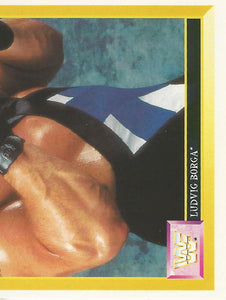 WWF Merlin Sticker Collection 1994 Ludvig Borga No.141