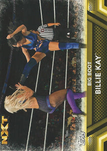 WWE Topps Then Now Forever 2017 Trading Card Billie Kay No.F42