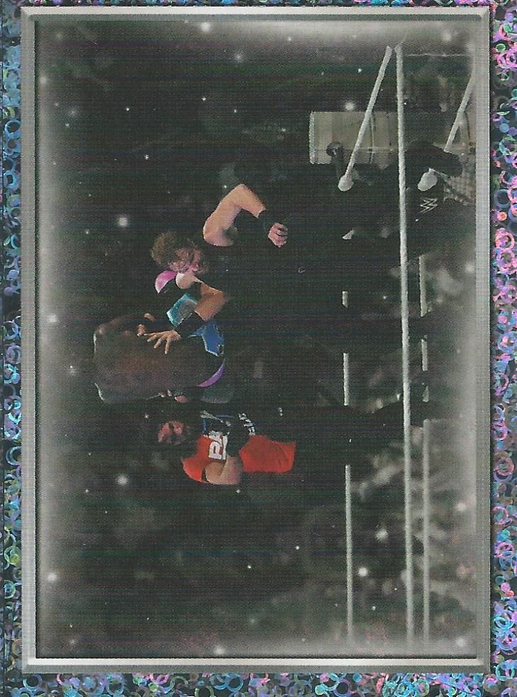 WWE Topps 2018 Stickers The Shield Foil No.143