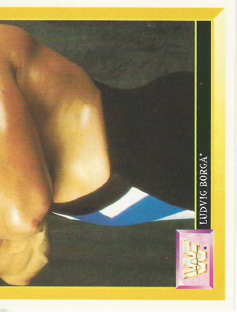 WWF Merlin Sticker Collection 1994 Ludvig Borga No.144