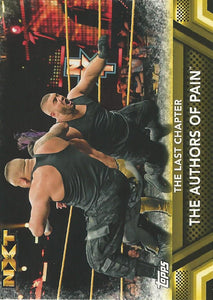 WWE Topps Then Now Forever 2017 Trading Card Authors of Pain No.F46