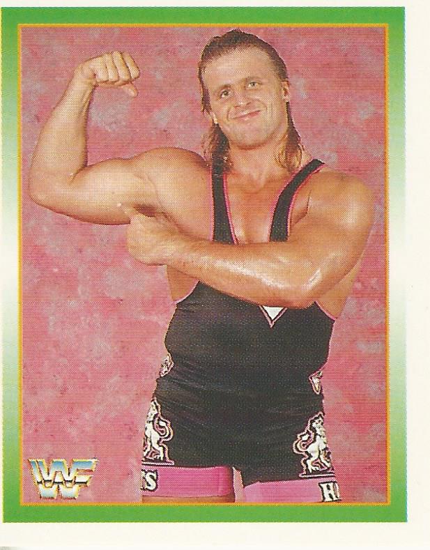 WWF Merlin Stickers 1995 Owen Hart No.147