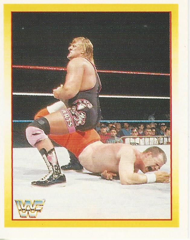 WWF Merlin Stickers 1995 Owen Hart No.148