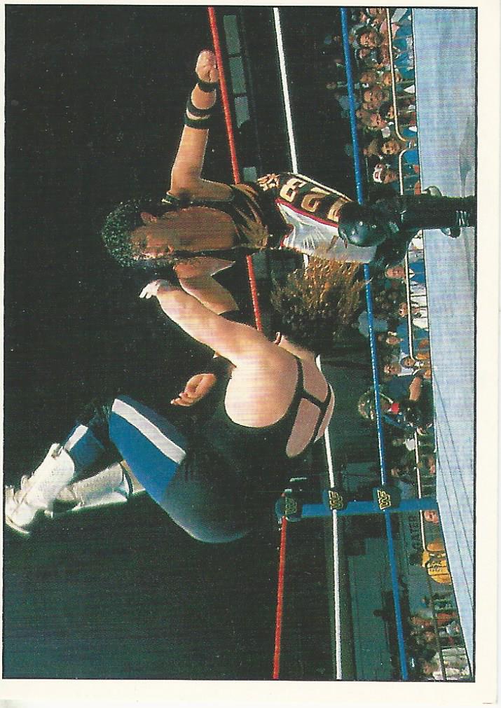 WWF Panini 1995 Sticker Collection 123 Kid No.149