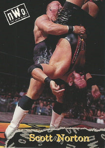 WCW/NWO Topps 1998 Trading Card Scott Norton No.14