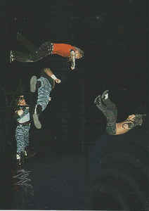 WWF No Mercy 2000 Trading Card Hardy Boyz No.14