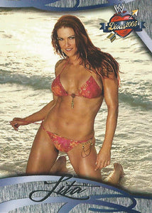 WWE Fleer Divas 2005 Trading Cards Lita No.14