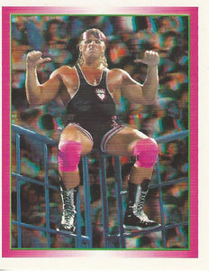 WWF Merlin Stickers 1995 Owen Hart No.150