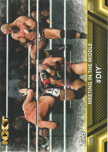 WWE Topps Then Now Forever 2017 Trading Card DIY No.F50