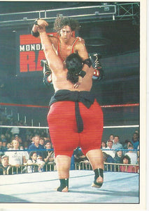 WWF Panini 1995 Sticker Collection 123 Kid No.151