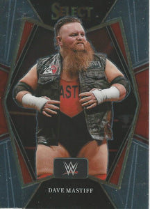 WWE Panini Select Trading Cards 2022 Dave Mastiff No.151