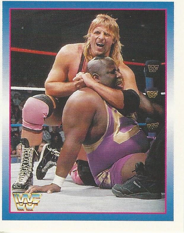 WWF Merlin Stickers 1995 Owen Hart No.151