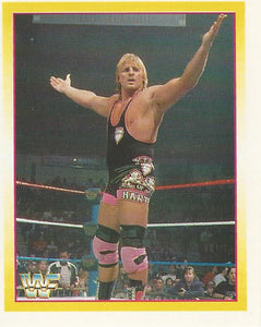 WWF Merlin Stickers 1995 Owen Hart No.153