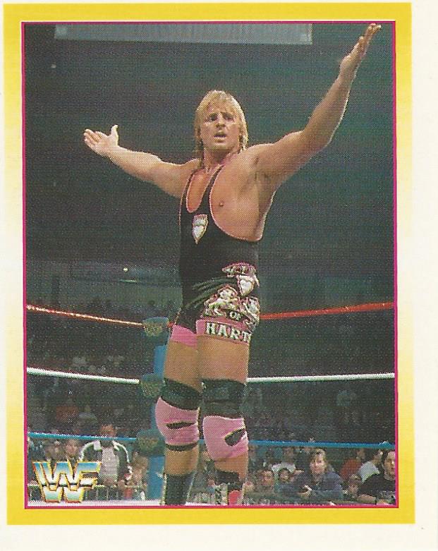 WWF Merlin Stickers 1995 Owen Hart No.153