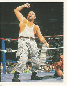 WWF Merlin Stickers 1991 Bushwhackers Luke No.153