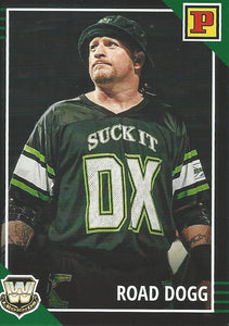 WWE Panini Debut Edition 2022 Trading Cards Road Dogg No.136 Green